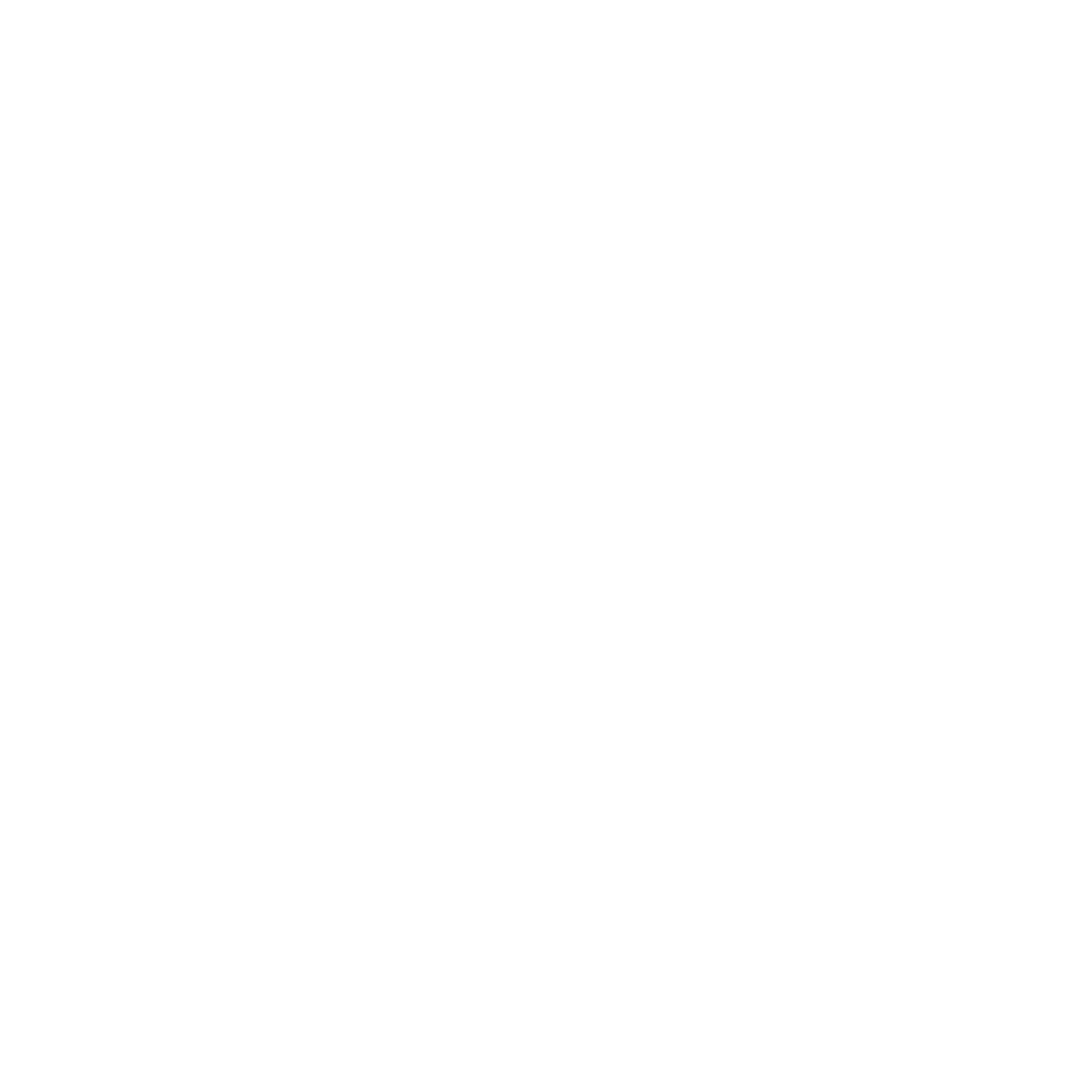 RAA LOGO 2 RVB Blanc
